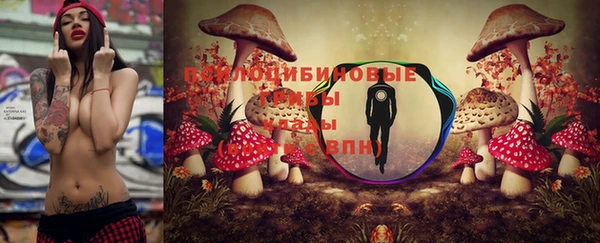 мет Тайга