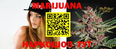 прущие грибы Абакан