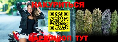 прущие грибы Абакан