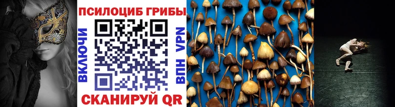 как найти наркотики  Старый Оскол  Псилоцибиновые грибы мухоморы 