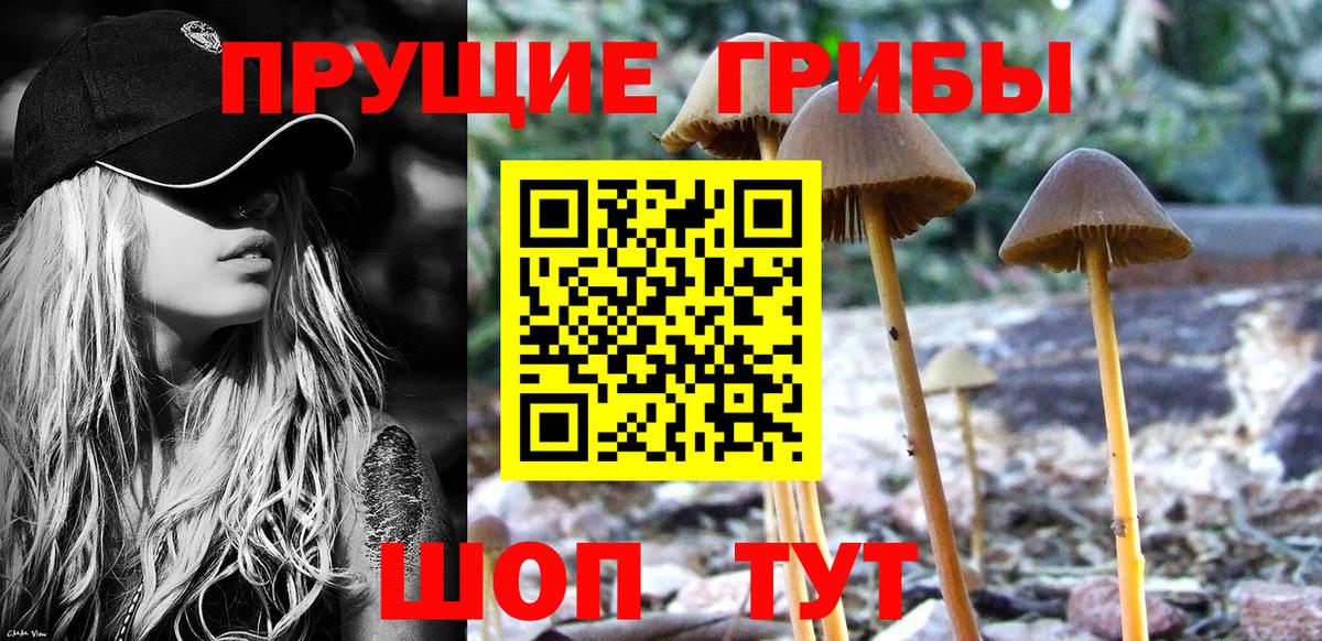 Галлюциногенные грибы Psilocybine cubensis  Старый Оскол 