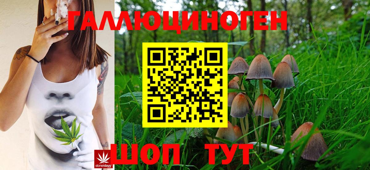 Псилоцибиновые грибы MAGIC MUSHROOMS Старый Оскол